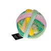 Schoppel Wolle Zauberball Alb Zauber Crazy, sock wool with colour