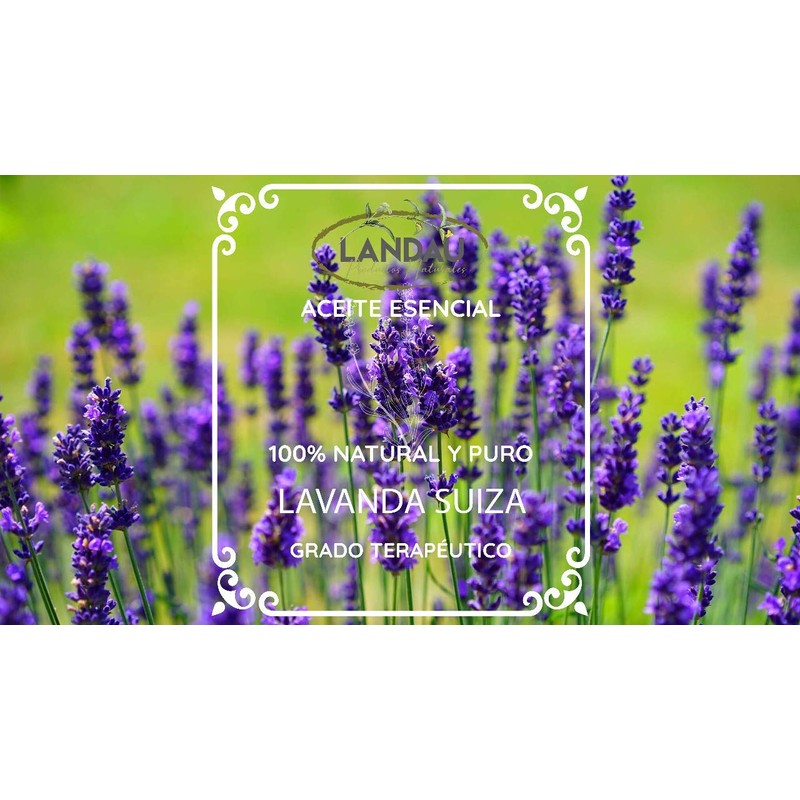 ACEITE ESENCIAL LAVANDA SUIZA, PURO GRADO TERAPEUTICO 15ML