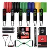 BOLD TRIBE Tribe Pack 14 y 19 Pzas Ligas De
