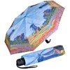 Doppler Magic Fibre Women's Pocket Umbrella with Automatic Open/Close, Windmill,