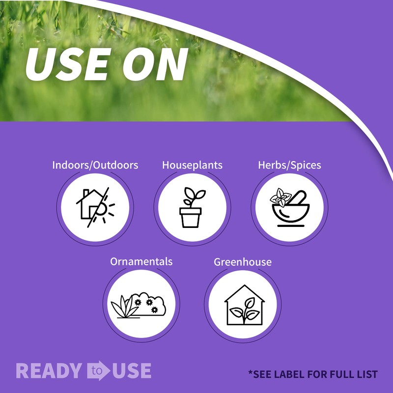 Bonide Captain Jack's Mite-X for Houseplants, 12 oz Ready-to-Use Spray