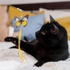 Lyyxjsltd 3 Pack Butterfly Cat Teaser Cat Teaser Toy Cat