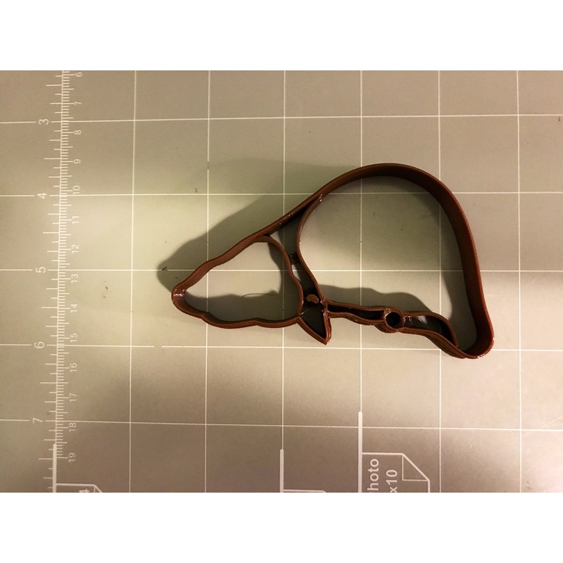 Liver Anatomy Cookie Cutter