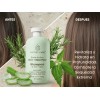 Shampoo Orgánico Artesanal Sábila Romero Verbena Kit 2pzs