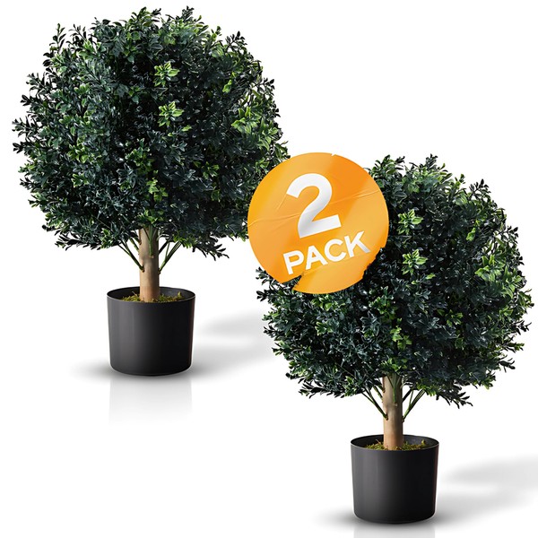 BOTARO TRESIL Set of 2 - Pre-Potted 24" High Ball