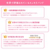 【General Medical Device Genuine Product】Slimmer Band Motion Sickness Relief Band