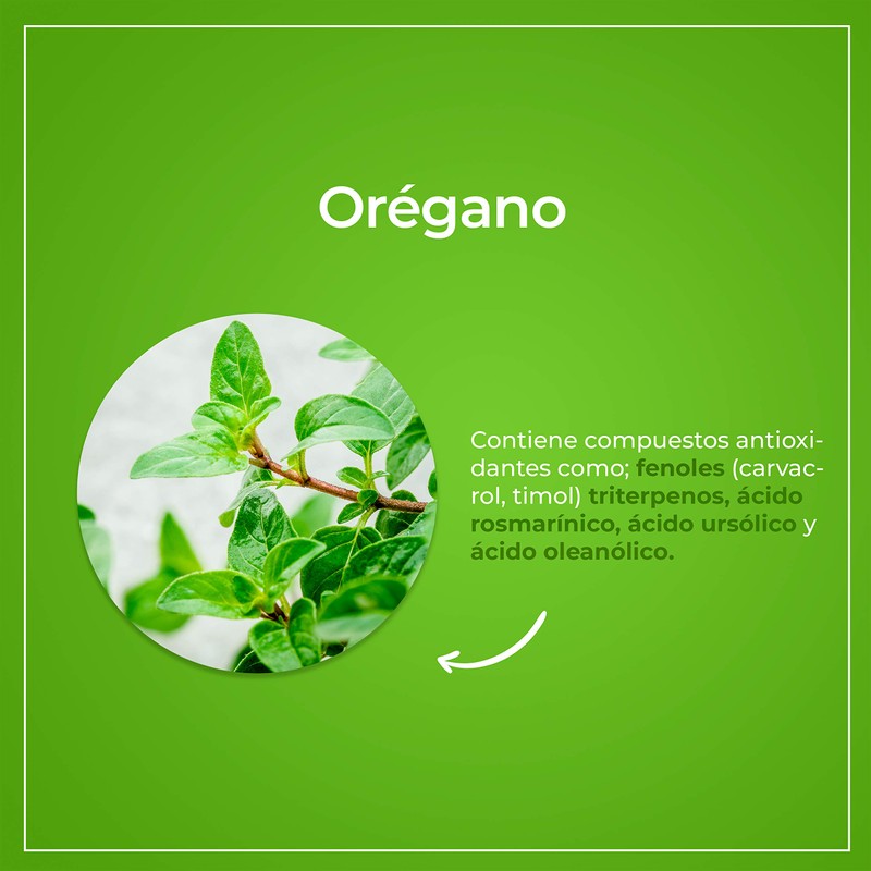VIZANA NUTRITION | Aceite de Orégano (Uso interno y dermatológico)