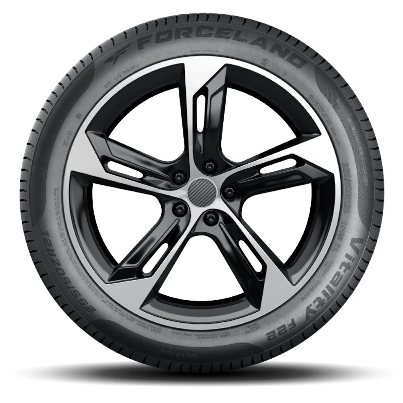 Forceland 205/55R16 FORCELAND Vitality F22 91V M+S