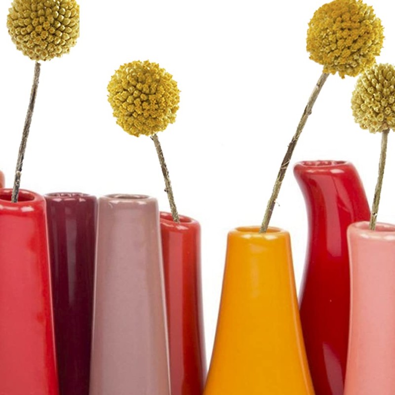 Cebollino Pooley 2, florero de cerámica, forma de 8 tubos