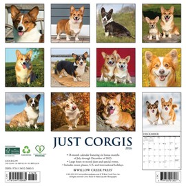 Corgis 2026 12" x 12" Wall Calendar