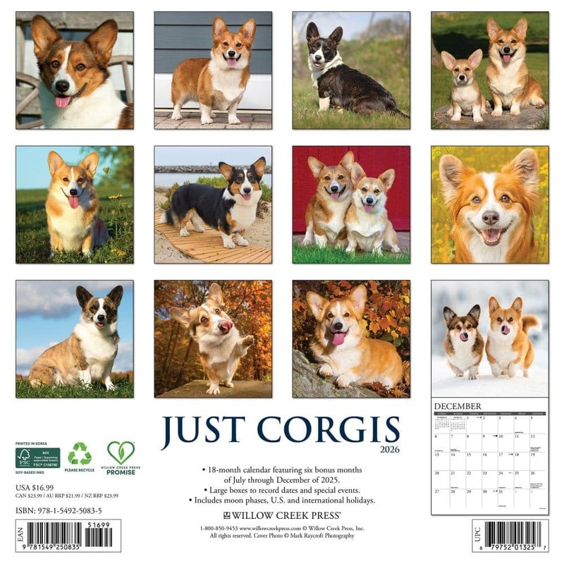 Corgis 2026 12" x 12" Wall Calendar