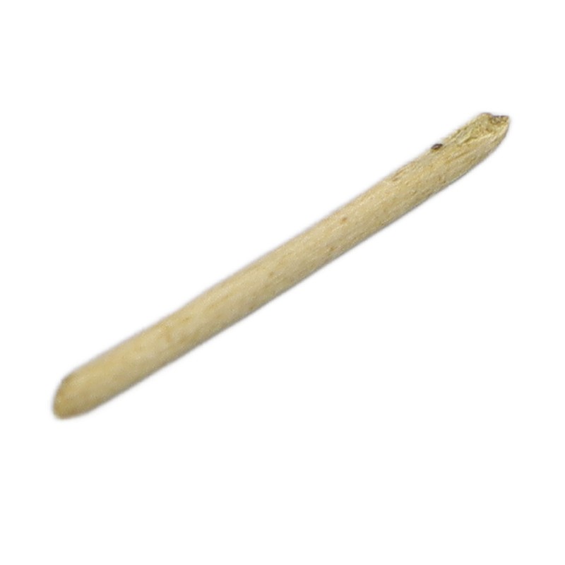 50pcs Tea Stem Stud Earrings Prevent Inflammation Tea Rod Curing
