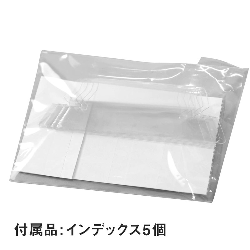 クルーズ(Crew's) ハンキングファイル A4 5枚入 アソート H6527-CER07