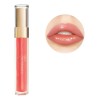 Labial Gloss 4g Terramar
