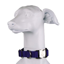 Blue-9 Secure Pro Dog Collar for Obedience, Training, and Identity, Durable and Adjustable Collar with Metal Buckle Dogs, Made in The USA, Purple, Large