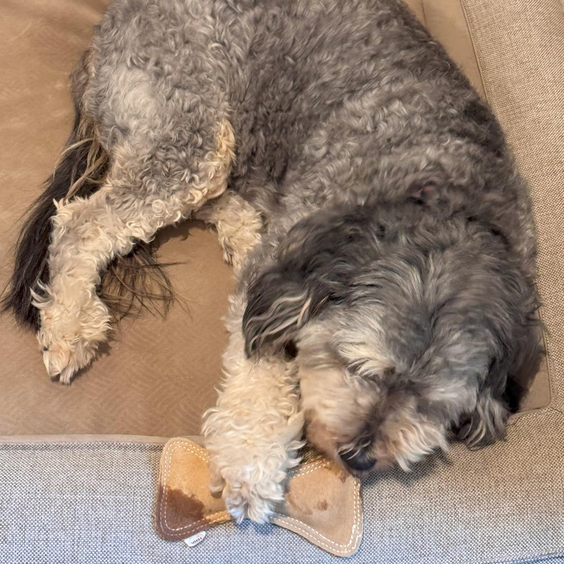 SPOT Dura-Fused Leather Small Bone Dog Toy – Durable Chew