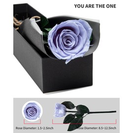 Blue Flowers for Delivery Prime, Preserved Blue Roses Flower Gifts for Women, Real Roses Single Rose Gifts for Her, Mom Birthday Gifts from Daughter, Solid Lilac Roses