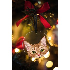 WIRESTER Hanging Ornaments for Christmas Tree Holidays, Party, Car, Home, Office Decoration, Large 3 inch Acrylic Ready to Hang Ornament - Orange Tabby Kitten Cat