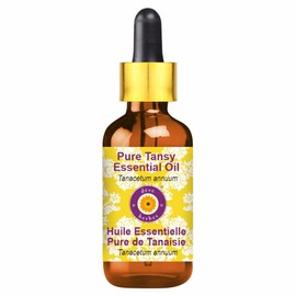 dève herbes Pure Tansy Essential Oil (Tanacetum annuum) with Glass Dropper Natural Therapeutic Grade Steam Distilled 50ml (1.69 oz)