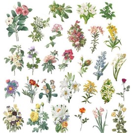 60pcs/Set Vintage Washi Sticker Set Retro Flowers Sticker Decorative Stickers DIY Scrapbooking Diary Album Label Stick Clever Design Scrapbooking and Stamping