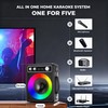 VOSOCO Karaoke Machine, Portable Bluetooth Karaoke Speaker with 2 Wireless