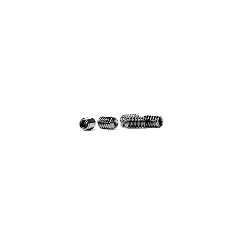 FCS Screw Screws Set of 6 Stainless Stell Screws/sa-hubo-dobo-dofin Screw