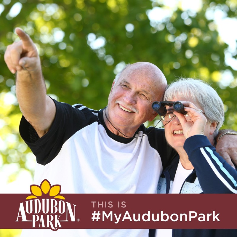 Audubon Park Squirrel & Critter Food, 15-lb. Bag