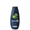 Schauma Shampoo for Men