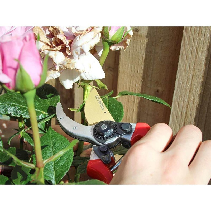 Faithfull FAICOUBYPRO8 Countryman Professional Bypass Secateurs - 215mm (8in)