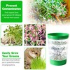 AOMGD 4-Tier Sprouts Growing Tray,Microgreens Growing Kit with Sprout Lid,
