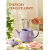 Sweese Teapots for Tea, 27 oz Porcelain Tea pot with