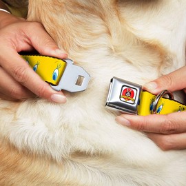 Buckle-Down Seatbelt Buckle Dog Collar - Tweety Bird Expressions2 - 1" Wide - Fits 9-15" Neck - Small