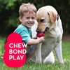 KONG - Classic Dog Toy - Durable Natural Rubber -