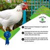 Care Free Enzymes Chicken Shampoo & Poultry Wash, 16 oz,