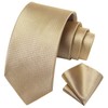 HISDERN Champagne Ties for Men Classic Silk Tie and Pocket