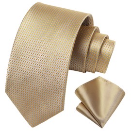 HISDERN Champagne Ties for Men Classic Silk Tie and Pocket Square Set Formal Business Polka Dot Necktie Handkerchief Elegant Wedding Party Necktie
