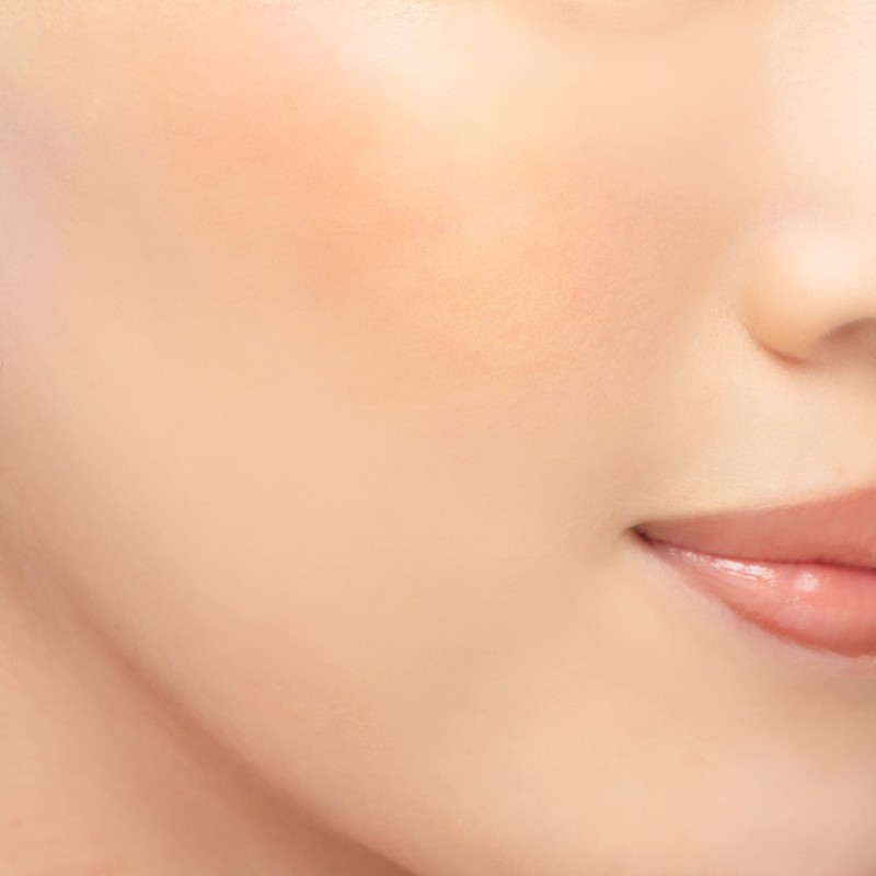 Chacott SK08 Silky Chacot Multi Color Variations