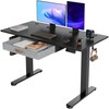 Seang Standing Desk with Drawer, 48" x 24" Height Adjustable
