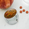 Fall Autumn Harvest Pumpkin and Squash Pattern Pill Case Trinket