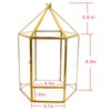 ELEGANTLIFE Glass Geometric Plant Terrarium,Succulent & Air Planter for Home