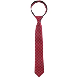 Alizeal Boys 15inch Length Novelty Woven Stripe Neckties for Age 8-14, Red