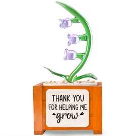 Glass Lily of the Valley Flowers Potted,Thank You for Helping Me Grow Gifts