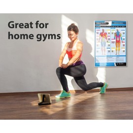 Muscle Groups & Exercise Poster for Home Gym Decor – Extra Large 33” x 23.5” Laminated Workout Chart with Free Video Training – Fitness Room Decor for Men and Women by Posterfit