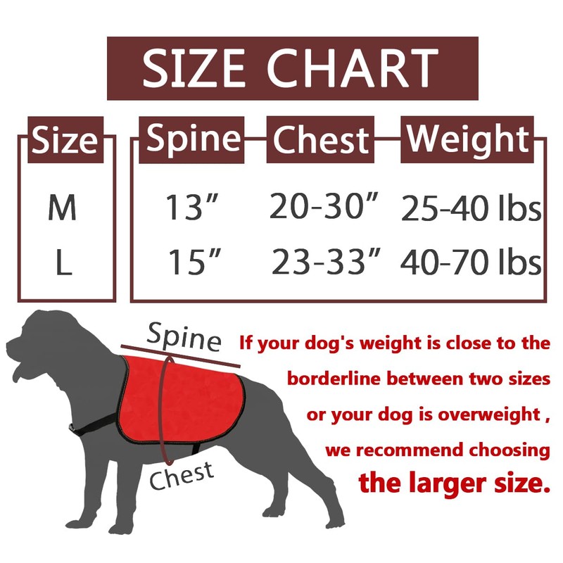 Reactive No Dogs Dog Jacket Vest Reactive Dog Give Me