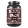 Creatina Gladiator Monohidratada 1kg 200 Servicios Sabores Naranja