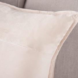 MADIZZ Set of 2 Super Soft Velvet Decorative Throw Pillow Covers 24x24 inch Beige Square with Fringe Luxury Style Cushion Case European Pillow Shell for Sofa Bedroom