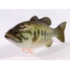 LX Handpainted Bass Statue Game Fish Replica 12" B