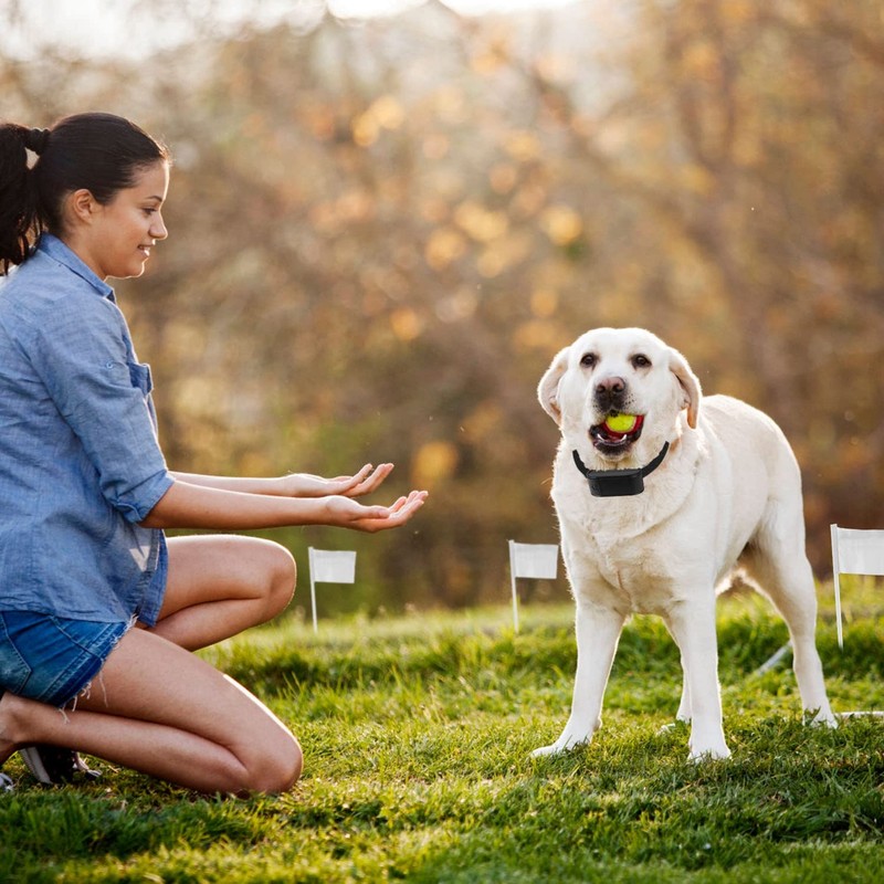 Electric Dog Fence System – Wireless Pet Containment System with