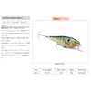 Rapala Ssr14-Htp Currican Super Shad Rap