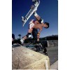 GATOR STICKER Vision Skateboards WORLD INDUSTRIES VINTAGE Thrasher BONES BOGO